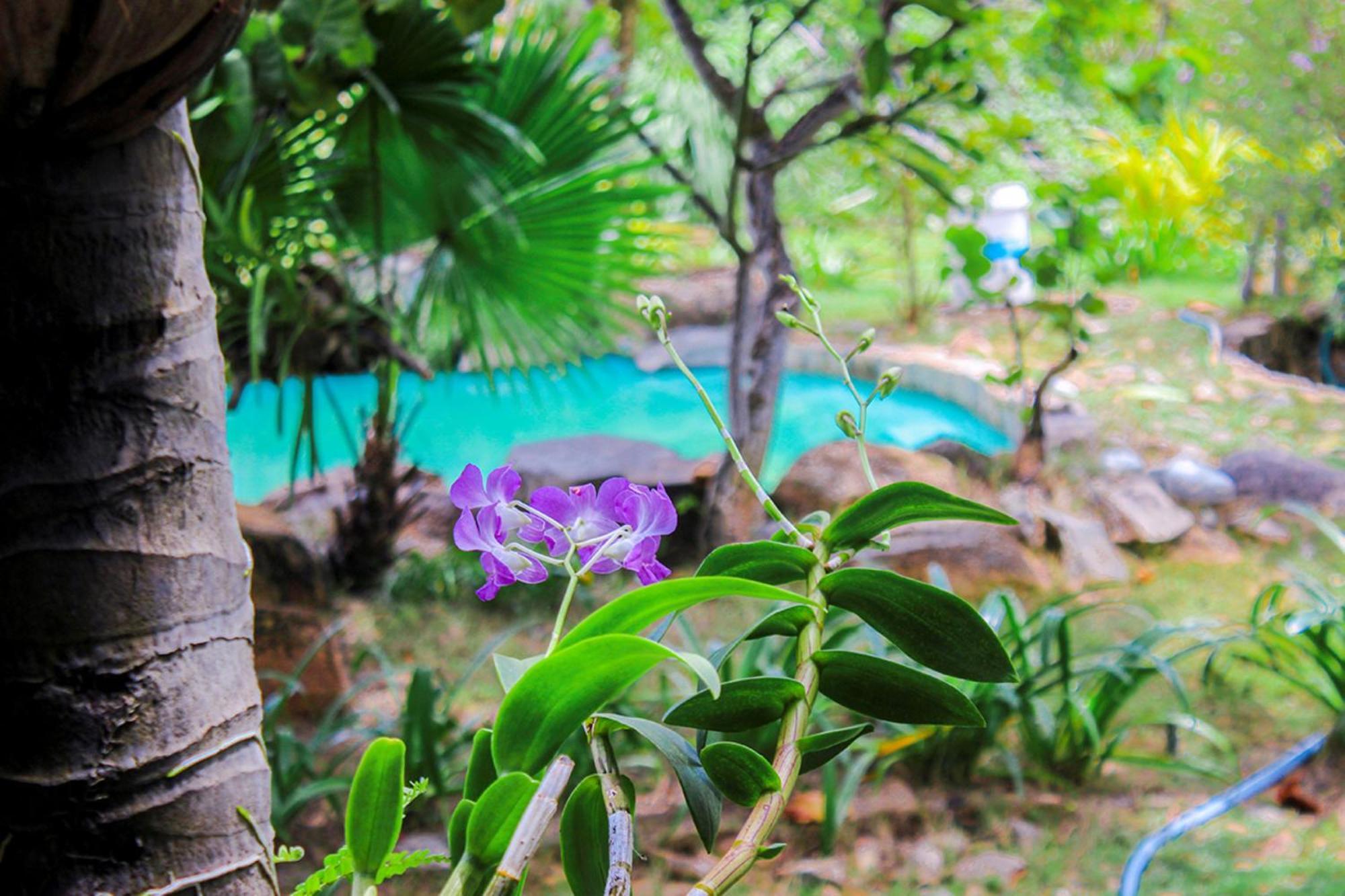 Me Bungalow Beach Resort Phan Thiet Exterior foto