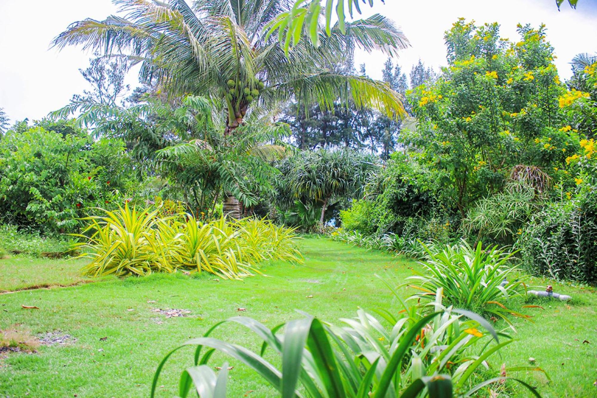 Me Bungalow Beach Resort Phan Thiet Exterior foto